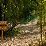 Mas De Font Chaude Clermont-lʼHérault