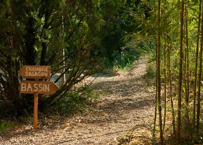 Mas De Font Chaude Clermont-lʼHérault